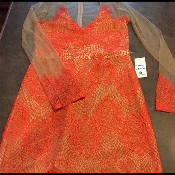 See through dress brand new - Picture 1 of 6